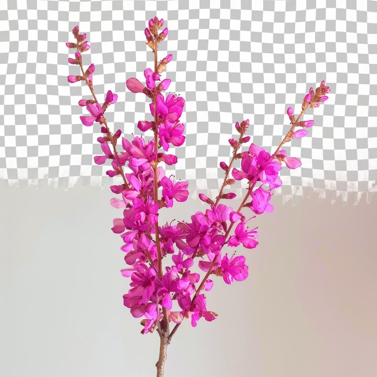 PSD una flor rosa está en un jarrón con un fondo a cuadros