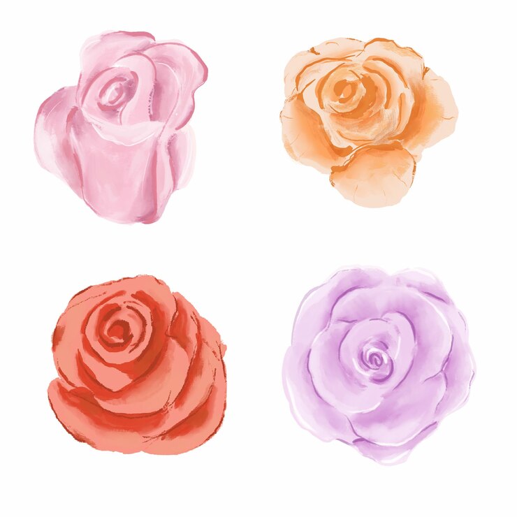 PSD flor rosa flor em cores