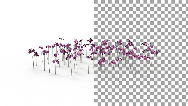 Flor rusa irlandesa con sombra 3D Render