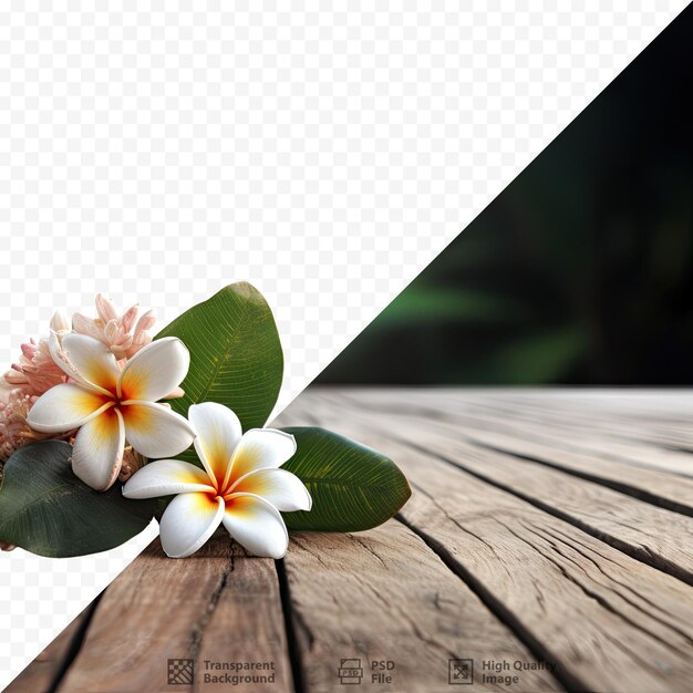 PSD una flor sobre una mesa de madera con fondo blanco.