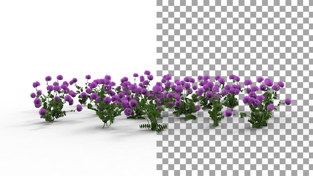Flor de trébol con sombra 3d render