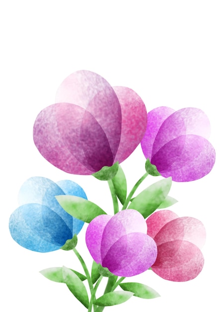 flores de acuarela dibujadas a mano sobre un fondo blanco