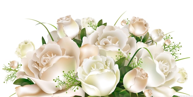 PSD flores blancas en flor invitación de boda encapsulado postscript rosas blancas cdr flor arreglando png blanco