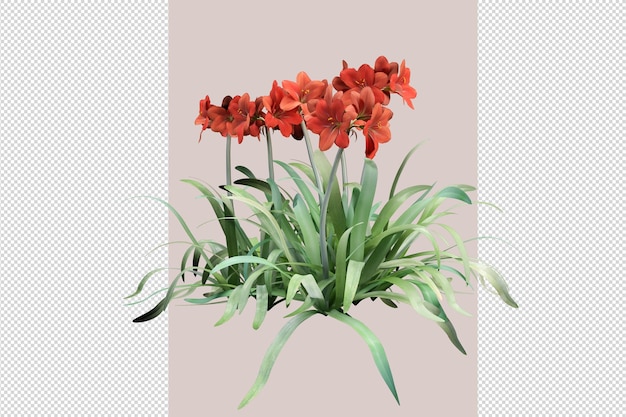 Flores de color aislado en renderizado 3d aislado