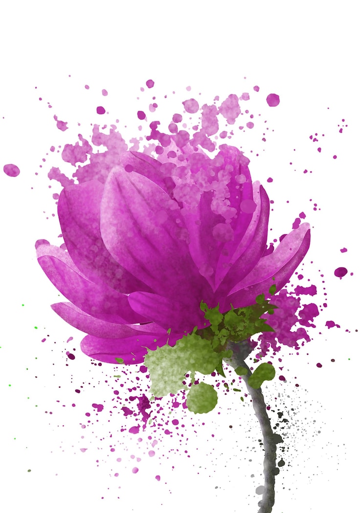PSD flores cor-de-rosa desenhadas à mão em aquarela com salpicaduras