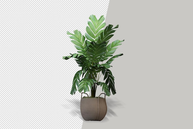 Flores de plantas em vasos em renderização 3d isoladas