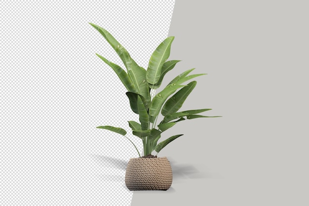 Flores de plantas em vasos em renderização 3d isoladas