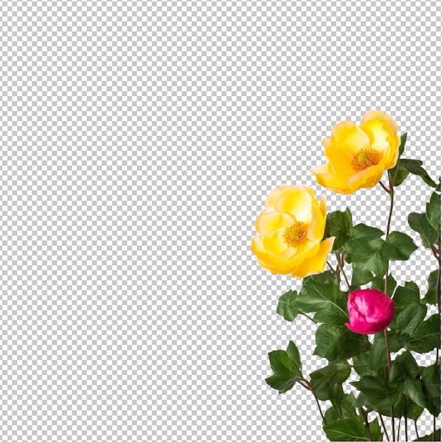 PSD flores de primavera em fundo transparente