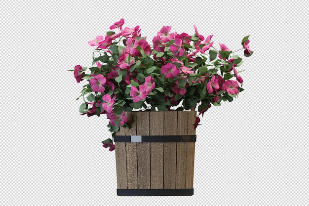 PSD flores em renderização 3d isoladas