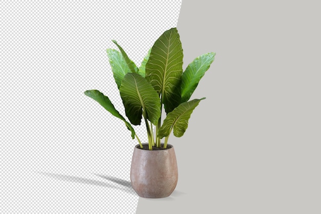 Flores em vasos de plantas em renderização 3d isoladas