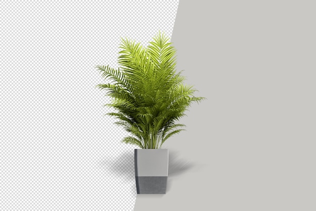 Flores em vasos de plantas em renderização 3d isoladas