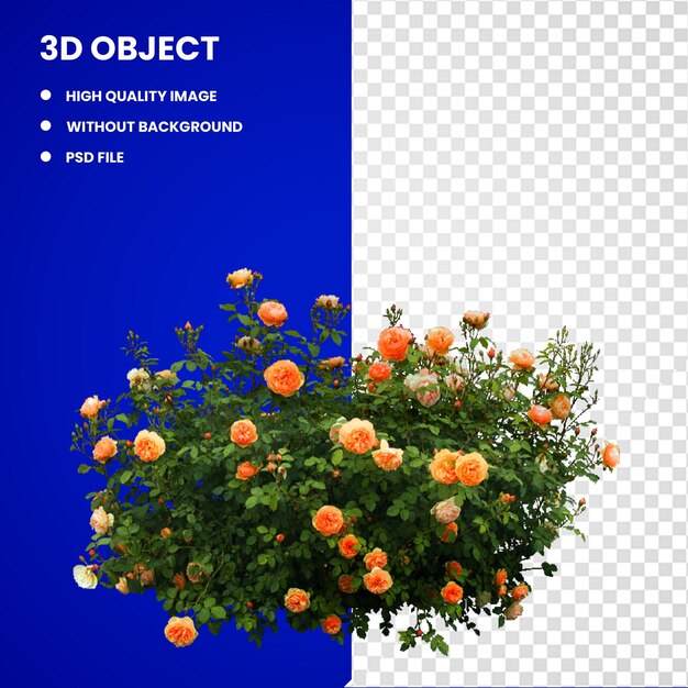 PSD flores de pétalos naranjas de 3d