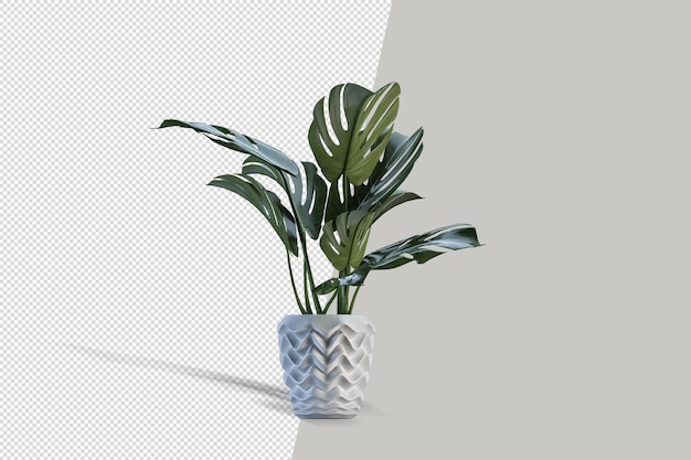 Flores de plantas en macetas en 3D rendering aislado