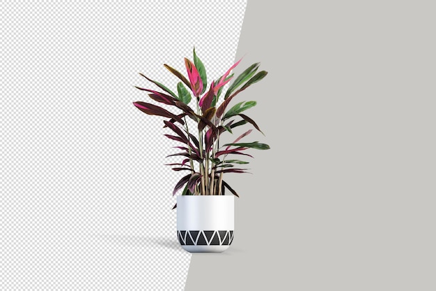 Flores de plantas en macetas en 3D rendering aislado