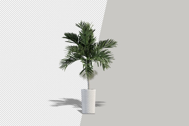 Flores de plantas en macetas en 3d rendering aislado