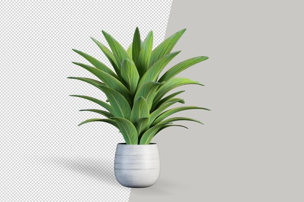 Flores de plantas en macetas en 3D rendering aislado