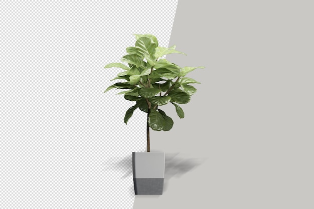 Flores de plantas en macetas en 3D rendering aislado