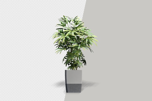 Flores de plantas en macetas en 3d rendering aislado