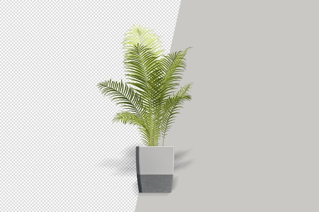 Flores de plantas en macetas en 3D rendering aislado