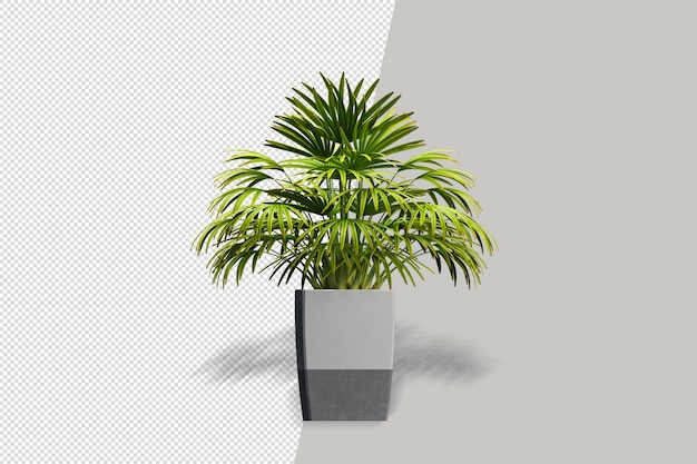 Flores de plantas en macetas en 3D rendering aislado