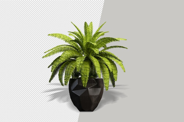 Flores de plantas en macetas en 3D rendering aislado