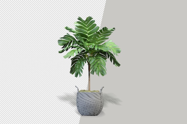 Flores de plantas en macetas en 3D rendering aislado