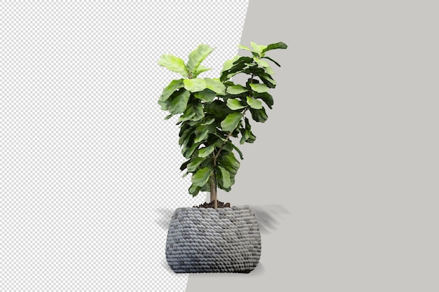 Flores de plantas en macetas en representación 3d aisladas