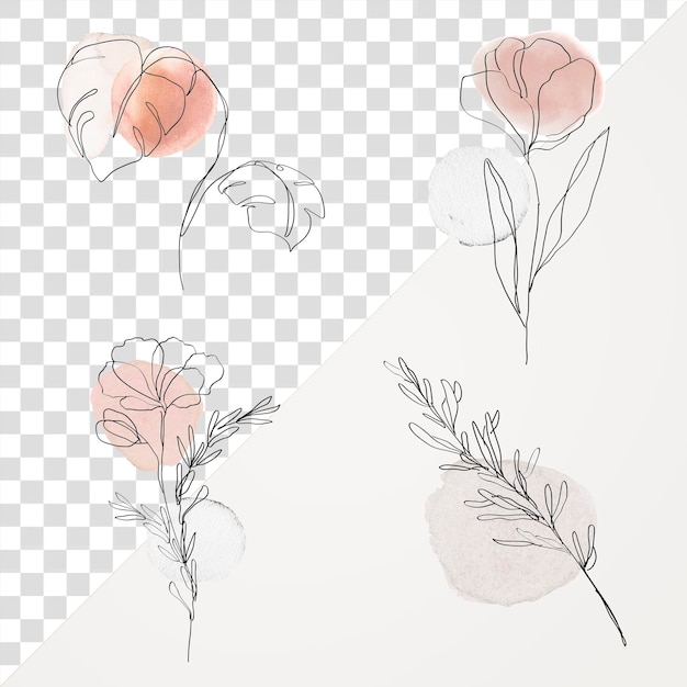 Flores png pastel e arte de linha preta conjunto de ilustrações femininas