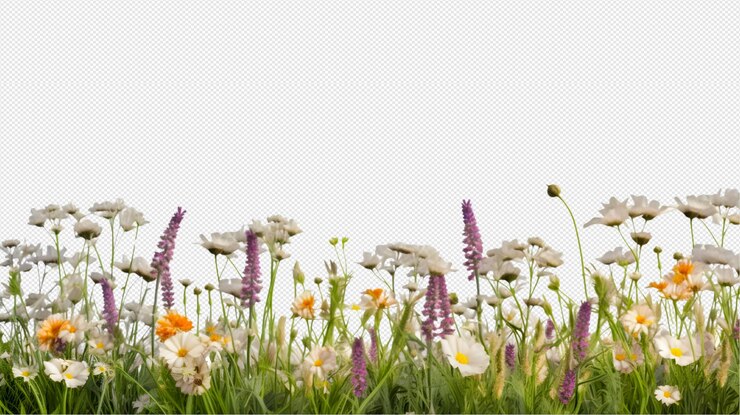 flores del prado png