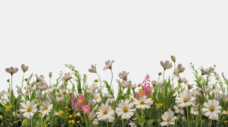flores del prado