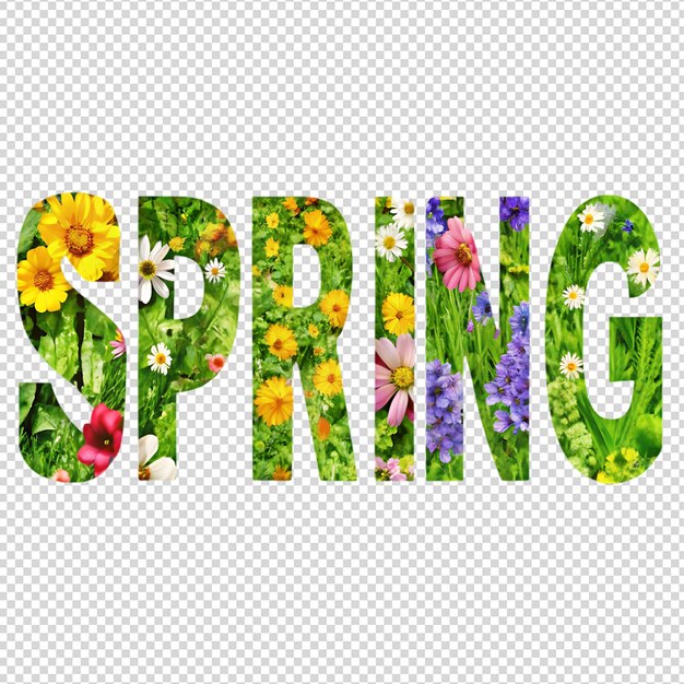 Las flores de primavera