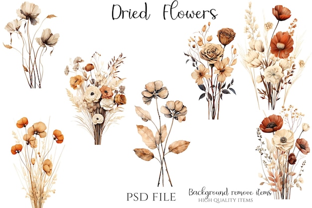 PSD flores secas clipart flores secas