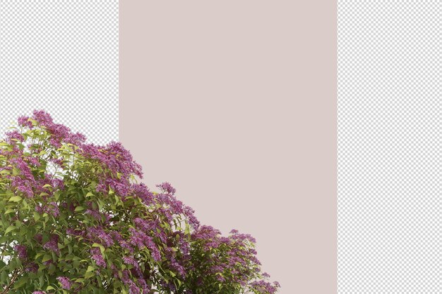 Flores de vista superior en representación 3d aisladas