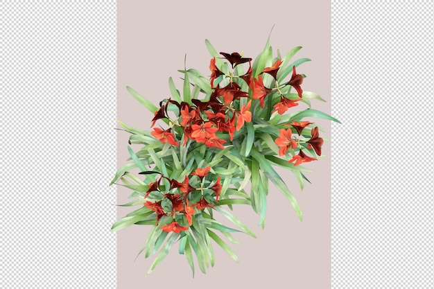 Flores de vista superior en representación 3d aisladas