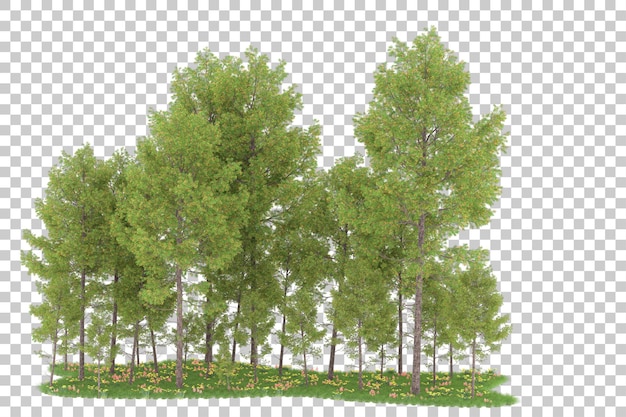Floresta em fundo transparente. renderização em 3D - ilustração