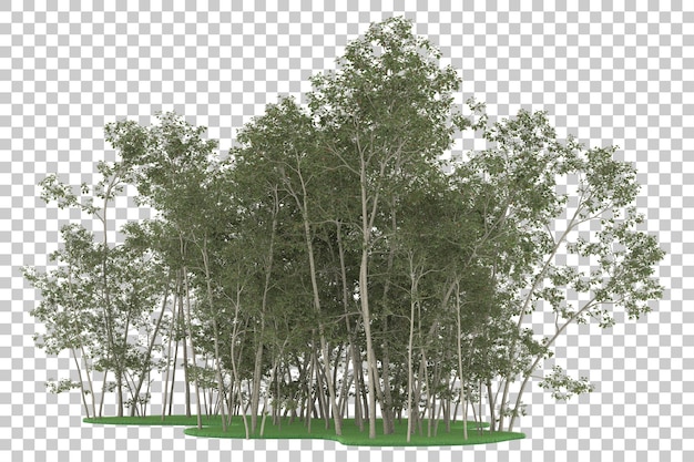 Floresta em fundo transparente. renderização em 3d - ilustração