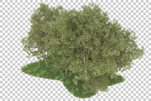 Floresta em fundo transparente. renderização em 3d - ilustração