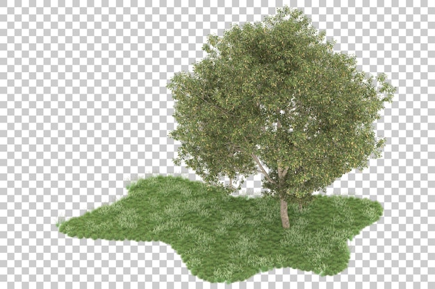 Floresta em fundo transparente. renderização em 3D - ilustração