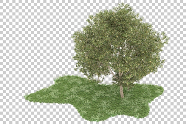 Floresta em fundo transparente. renderização em 3d - ilustração