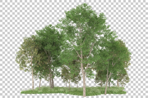 Floresta em fundo transparente. renderização em 3d - ilustração