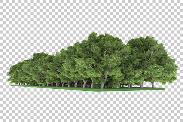 Floresta em fundo transparente. renderização em 3D - ilustração