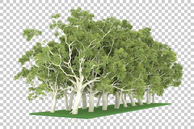 Floresta em fundo transparente. renderização em 3d - ilustração