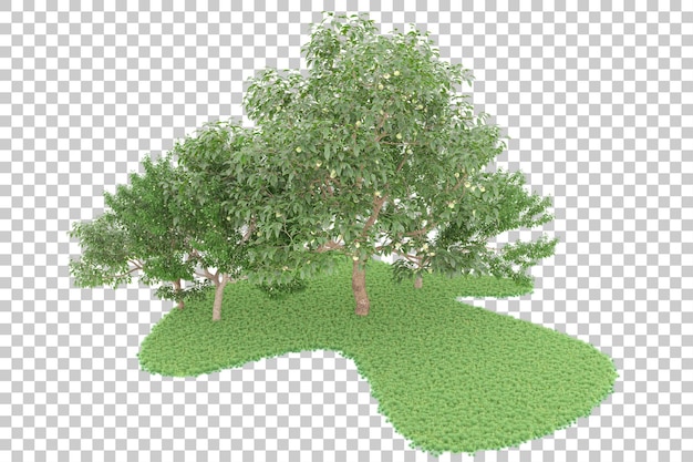 Floresta em fundo transparente. renderização em 3D - ilustração