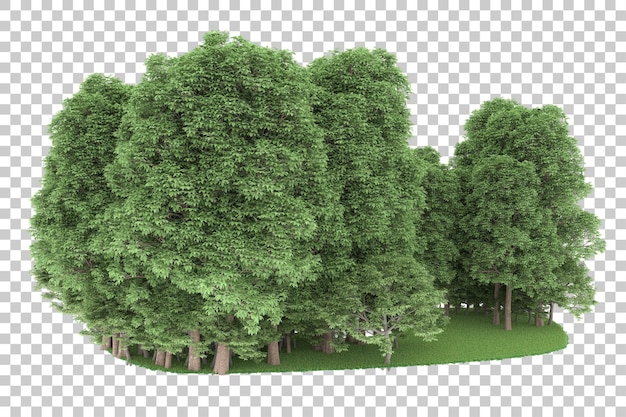 Floresta em fundo transparente. renderização em 3D - ilustração