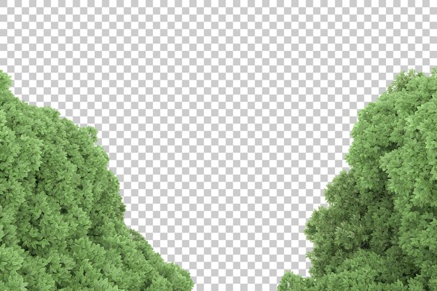 Floresta em fundo transparente. renderização em 3d - ilustração