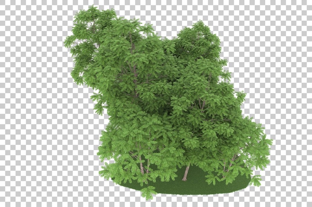 Floresta em fundo transparente. renderização em 3d - ilustração