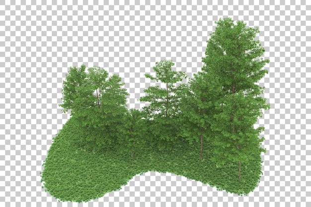 Floresta em fundo transparente. renderização em 3d - ilustração