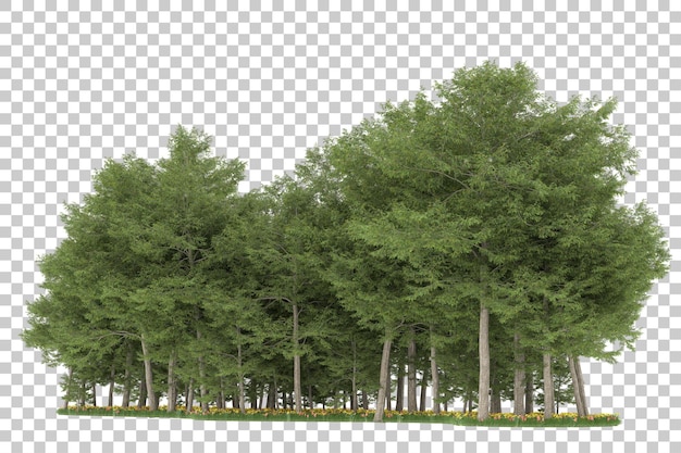 Floresta em fundo transparente. renderização em 3D - ilustração
