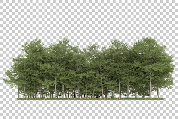 Floresta em fundo transparente. renderização em 3D - ilustração