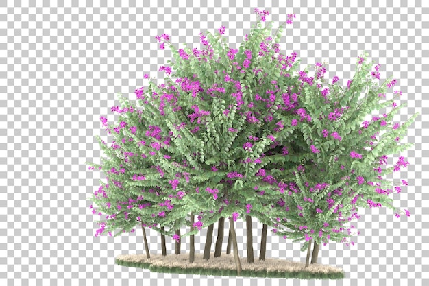 Floresta em fundo transparente. renderização em 3d - ilustração